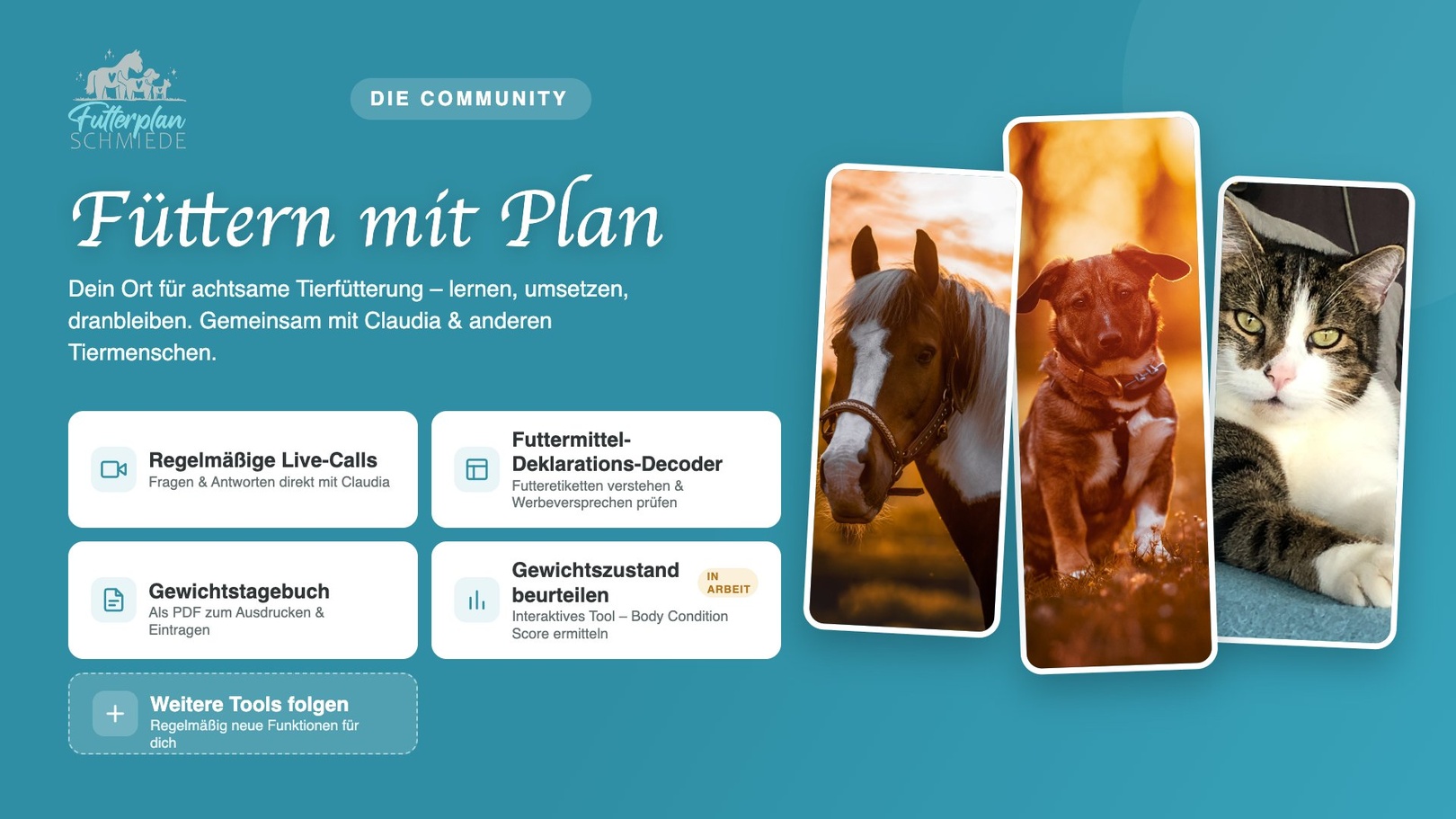 Community „Achtsam füttern mit Plan“ – 3 Monate