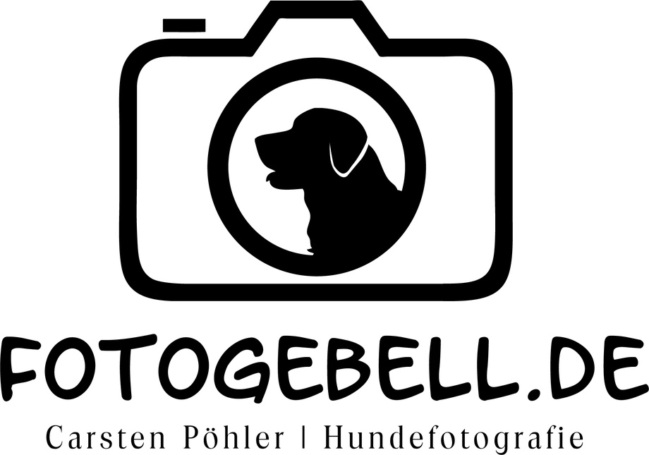 fotogebell.de Hundefotografie - Carsten Pöhler