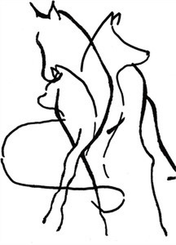 Pferdeosteopathie/Tierphysiotherapie Sabine Scholz