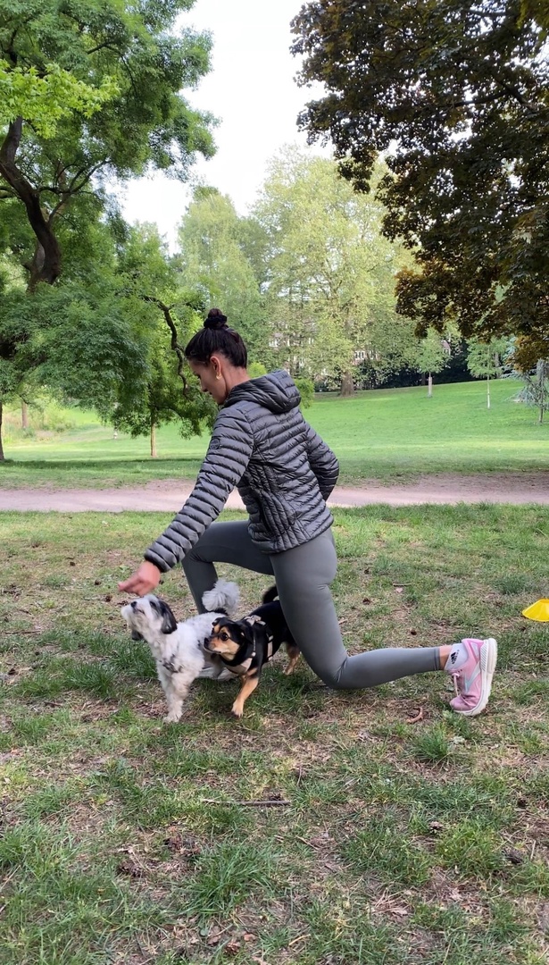 Schnupperstunde: Dein Einstieg in das Workout mit Hund