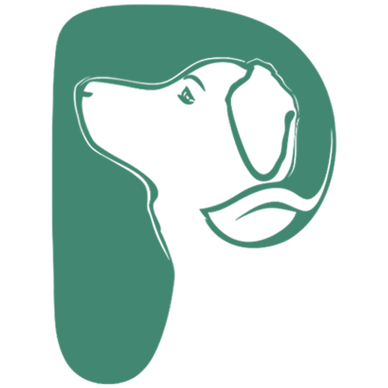 Pawlou - Hundephysiotherapie & Osteopathie | Tiertherapie
