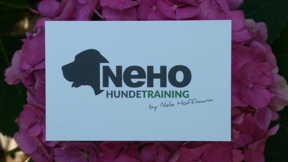 Hundeschule NeHo Hundetraining