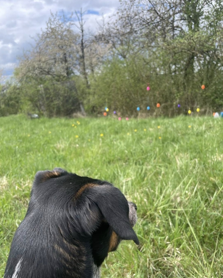 Rettet Ostern Wanderung