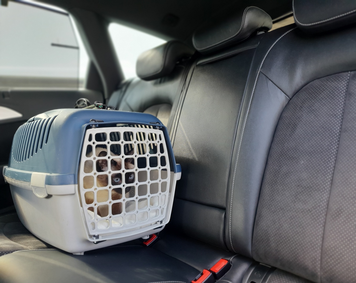 Selbstlernkurs "Stressfreies Autofahren"