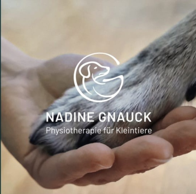 Physiotherapie für Kleintiere Nadine Gnauck