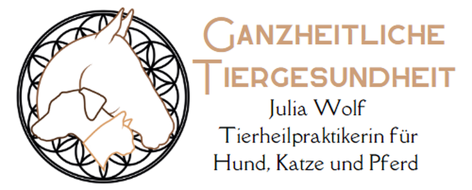 Ganzheitliche Tiergesundheit Julia Wolf