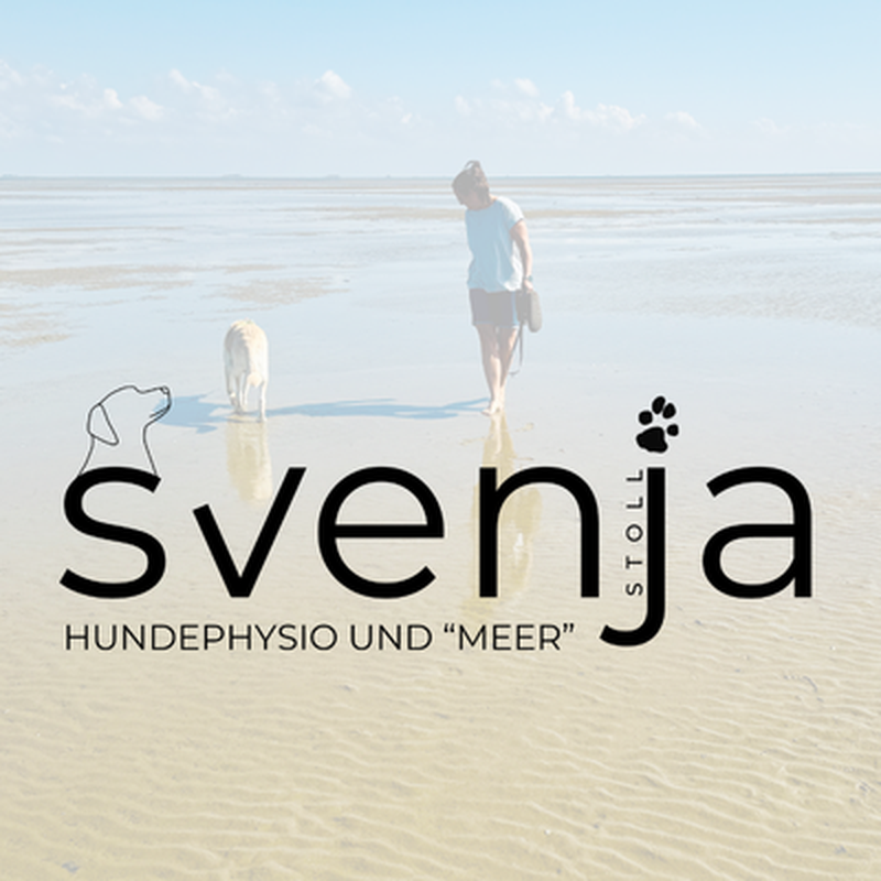 Svenja Stoll - Tiertherapie | Tierphysio & Meer