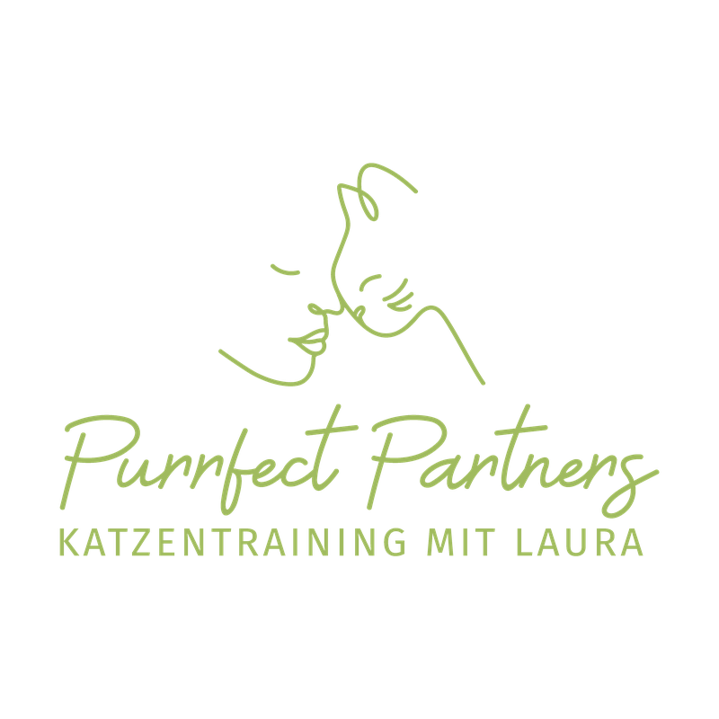 Purrfect Partners - Katzentraining mit Laura