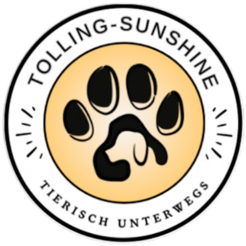 Tolling Sunshine -tierisch unterwegs-