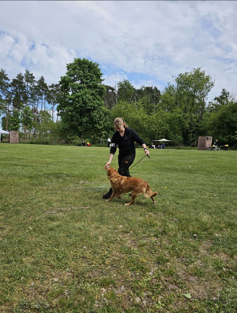 Individuelles Hundetraining & Bindungsaufbau
