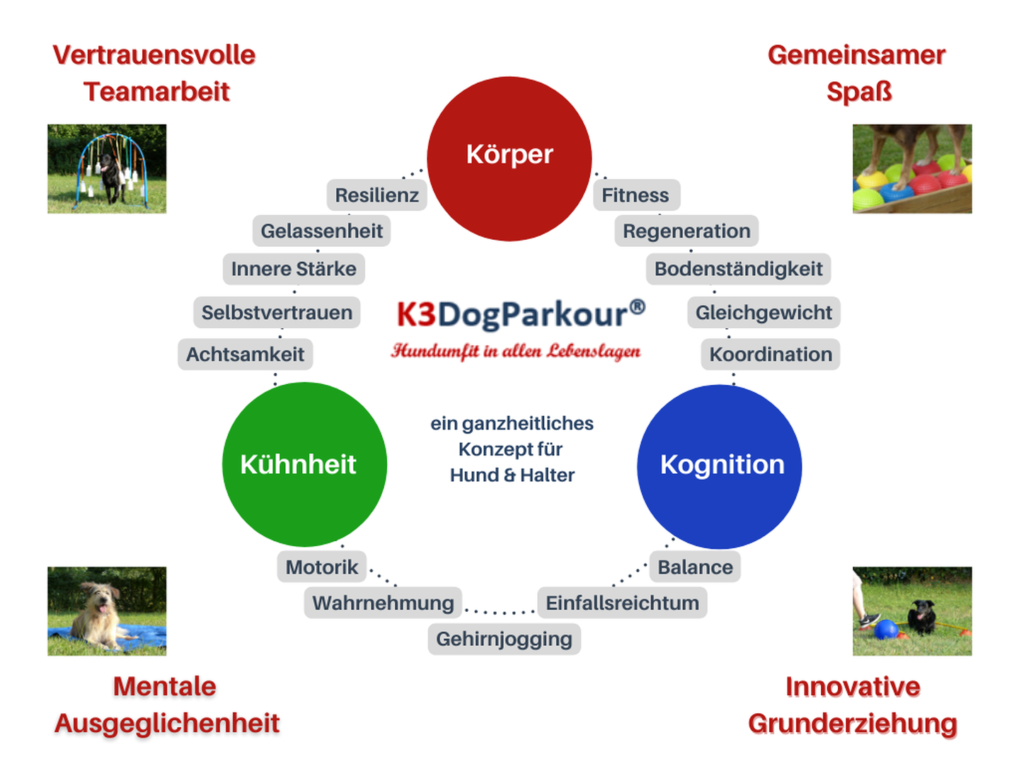 Mut & Fitness: Das K3DogParkour® Beginner Workshop