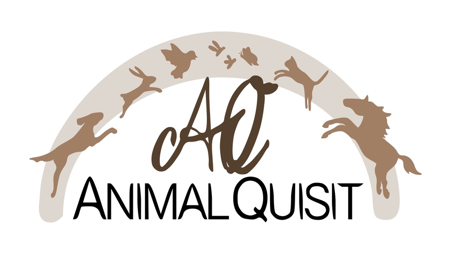 Animalquisit – Hundefotografie Essen