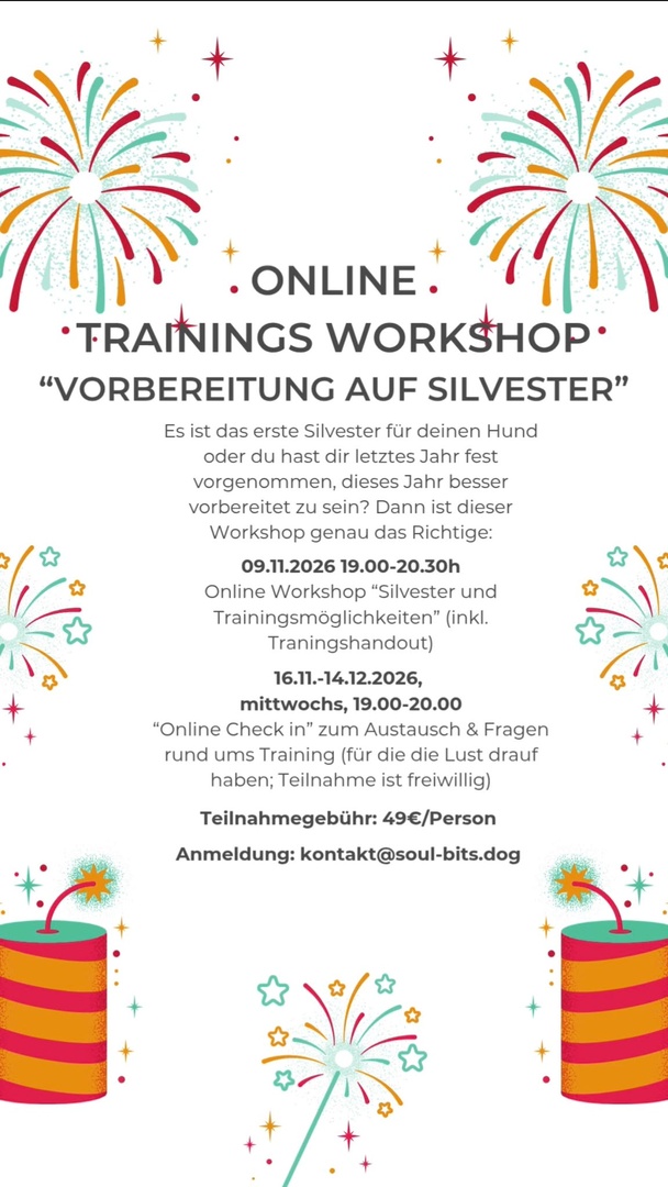 Webinar Silvester Vorbereitung