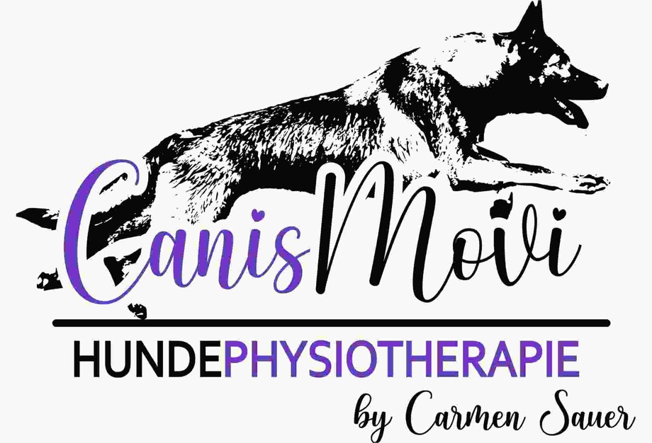 CanisMovi-HundePhysiotherapie I Carmen Sauer
