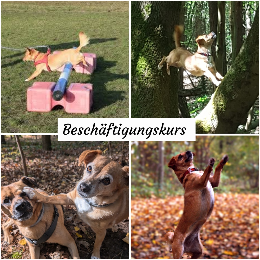 Beschäftigungskurs: Spannende Abwechslung in der Gruppe