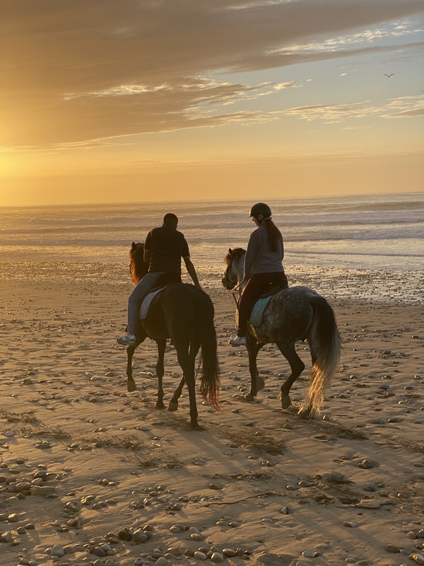 Dyad Equine