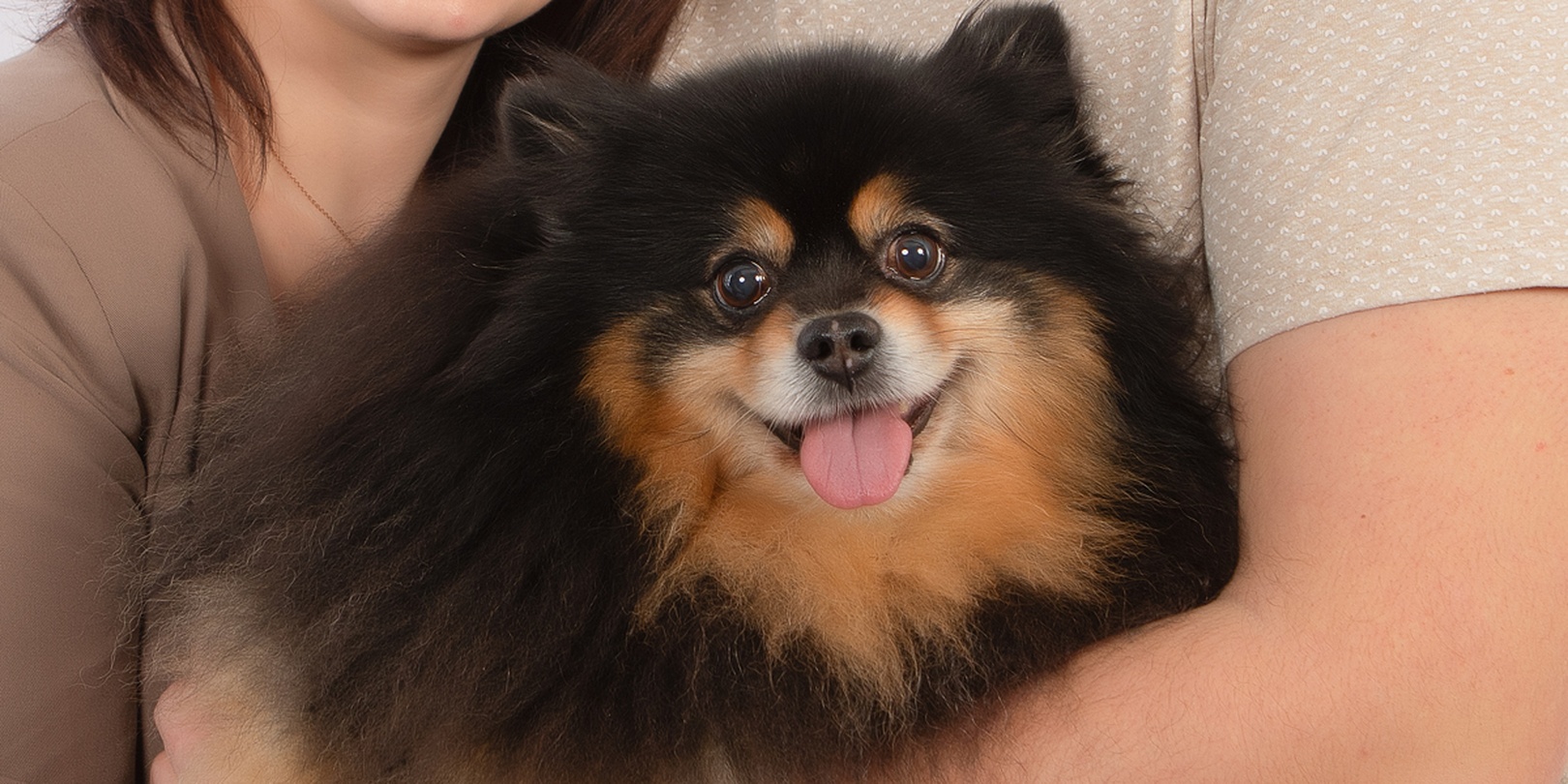 Hund, Katze, Maus...Tierisches Model-Shooting: Dein Haustier im Rampenlicht