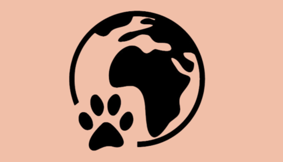 Die Hundeschule für kleine Rassen