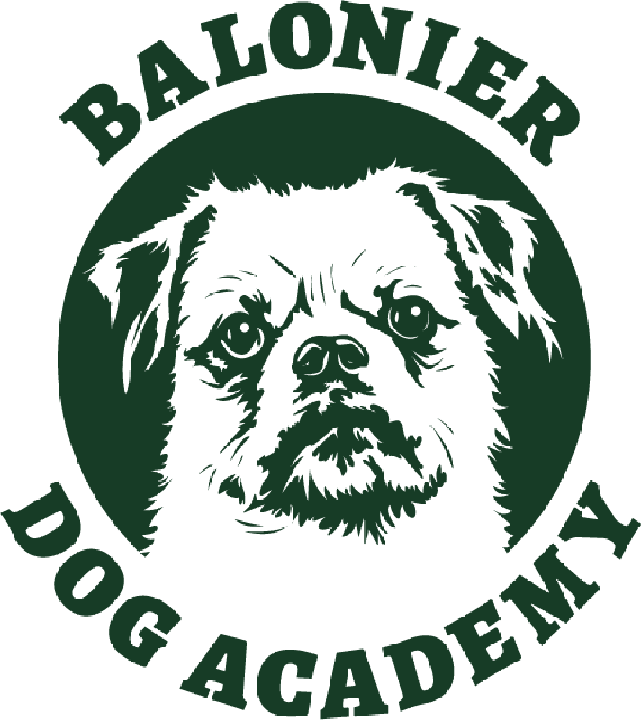 BALONIER Dog Academy