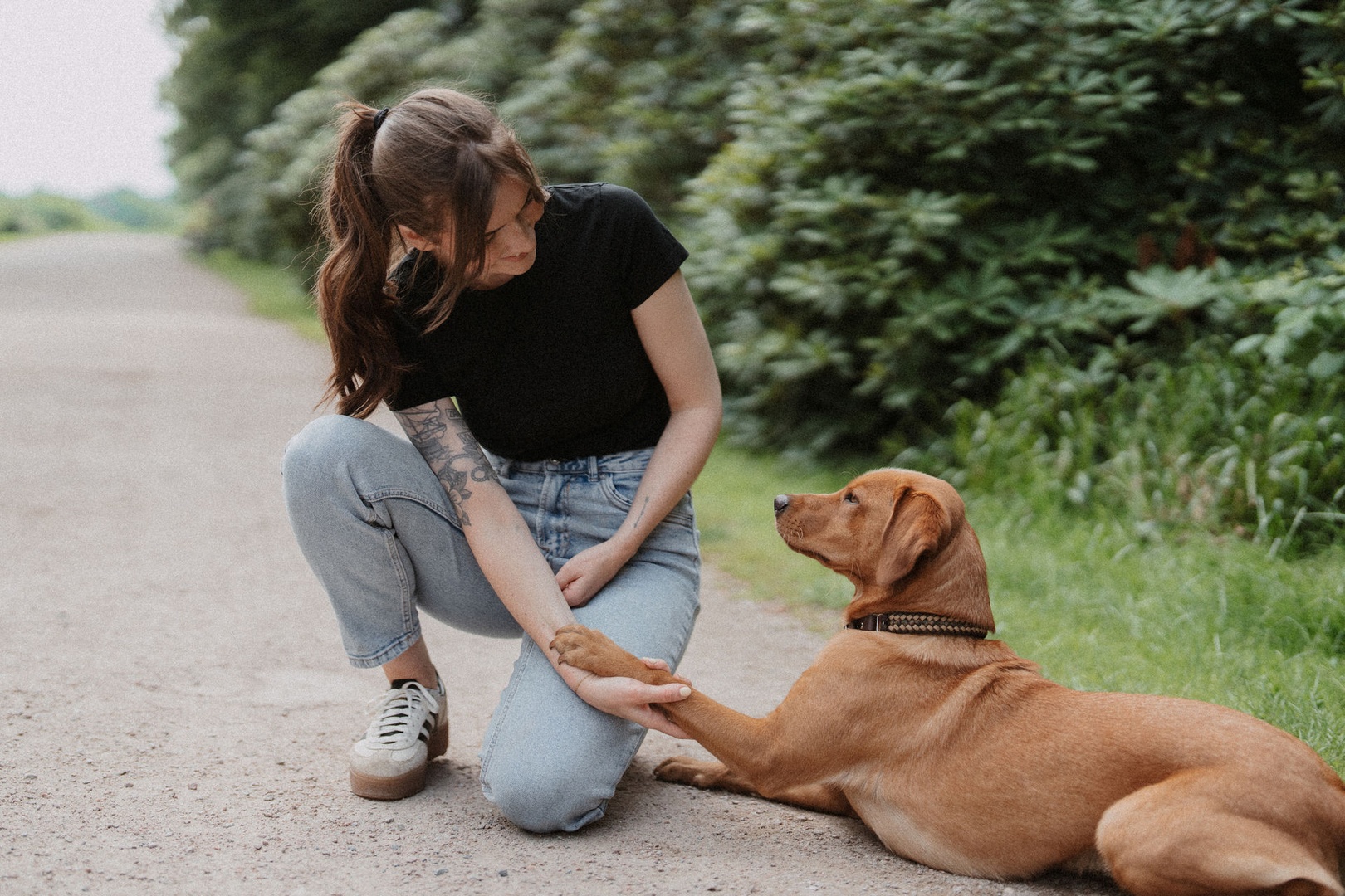Freie Auswahl: Der Hundebesitzer weiß am besten, was das Richtige ist
