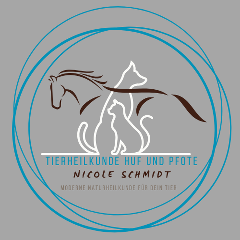 Tierheilkunde Huf und Pfote/ Nicole Schmidt mobile Tierheilpraktikerin