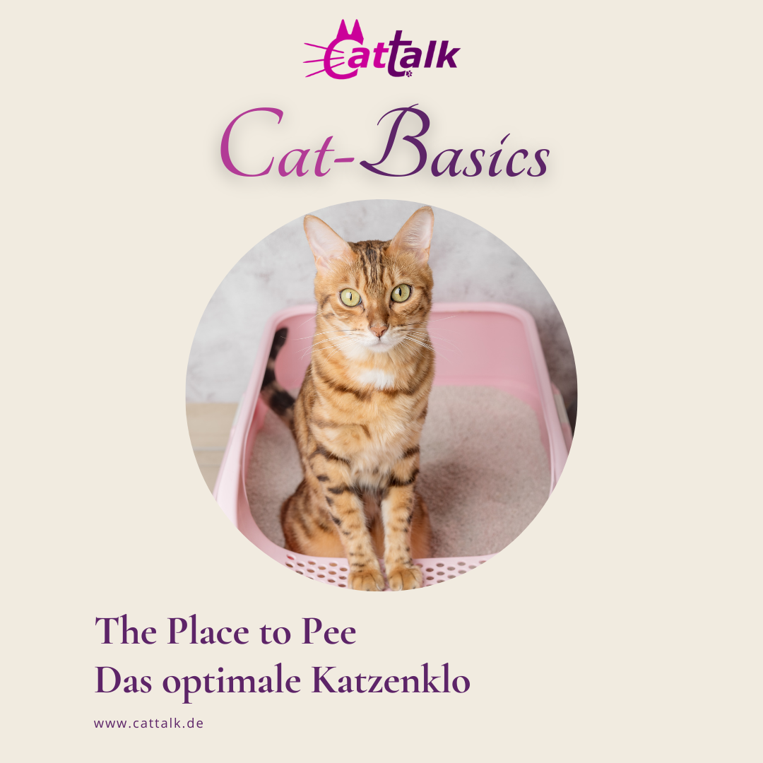 The Place to Pee - Das optimale Katzenklo