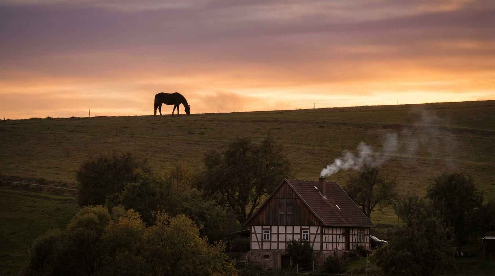 Respektvoller letzter Gang für Pferde & Ponys