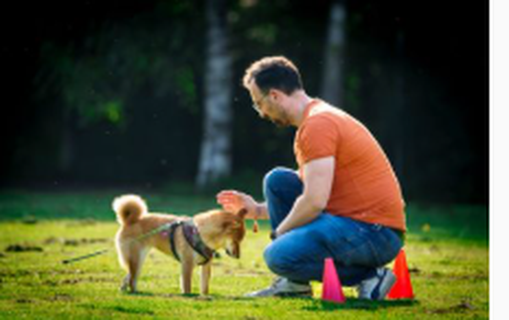 Gruppentraining im Wienburgpark