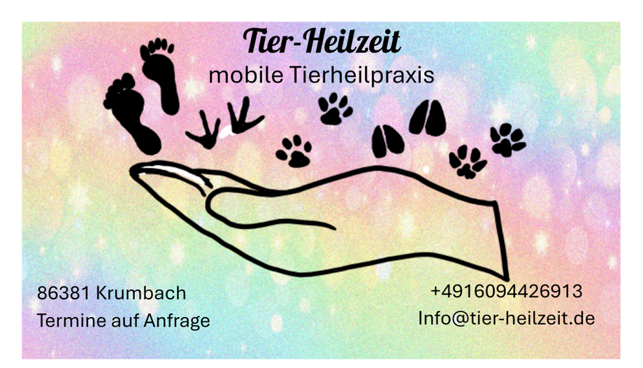 Tier-Heilzeit