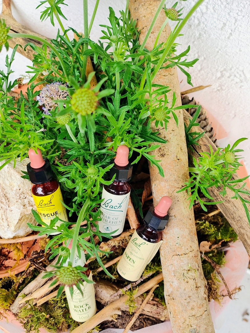 Seelenausklang: Bachblüten