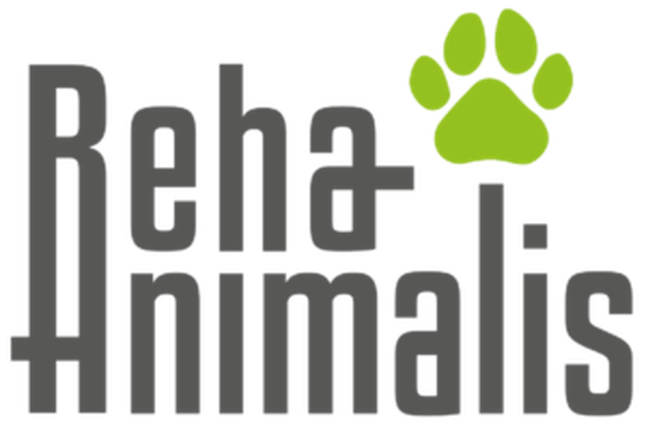 RehaAnimalis Hundephysio- & Fitnesstherapie
