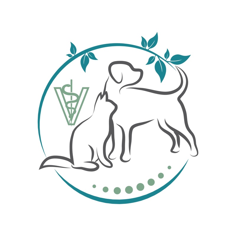 Angelikas Tierheilpraxis und -physiotherapie