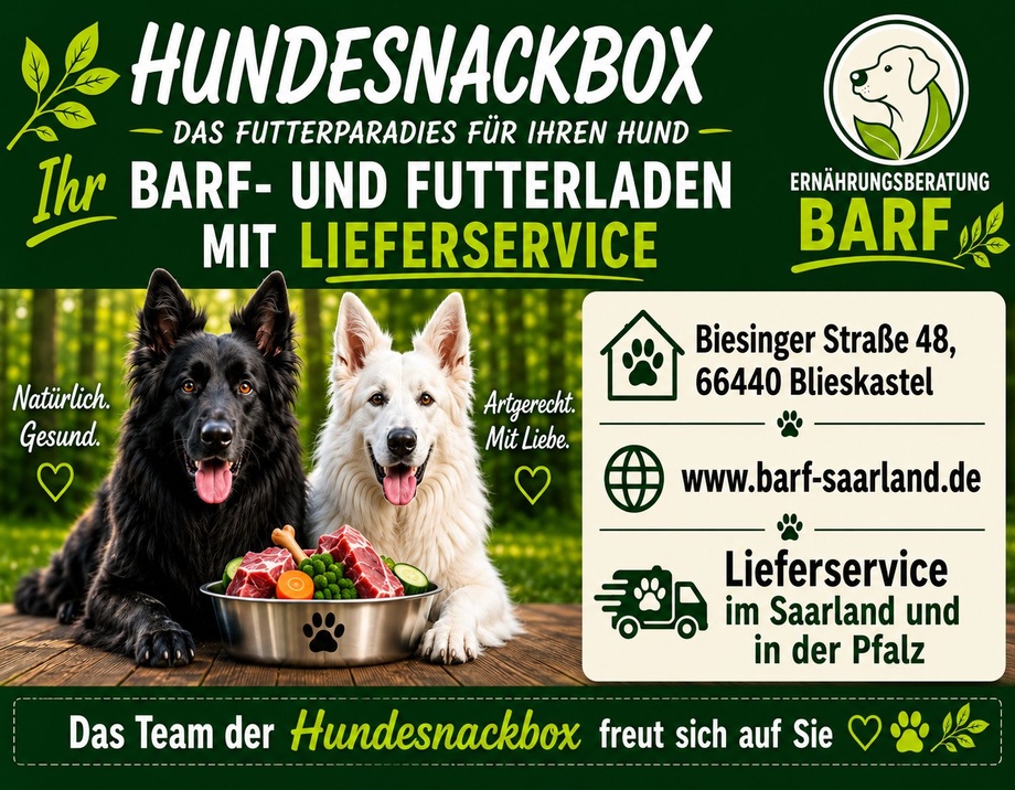 Hundesnackbox - BARF Saarland