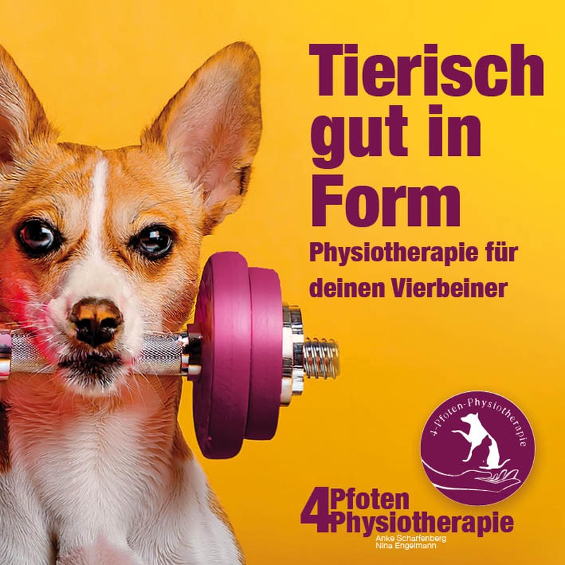 4-Pfoten-Physiotherapie